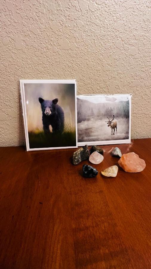 Appalachian Mountain Cabin-Updated-Private-Rafting On Ocoee River-Hiking-Waterfalls-Wifi-Pets Ok Murphy Bagian luar foto