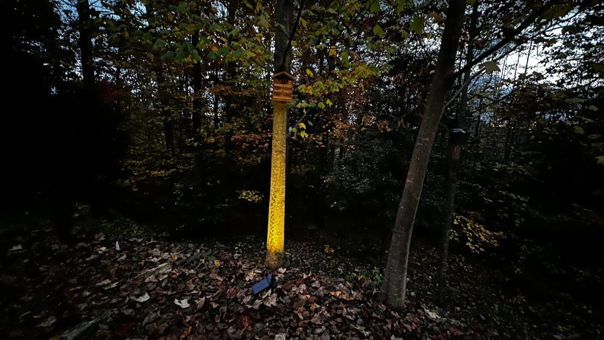 Appalachian Mountain Cabin-Updated-Private-Rafting On Ocoee River-Hiking-Waterfalls-Wifi-Pets Ok Murphy Bagian luar foto