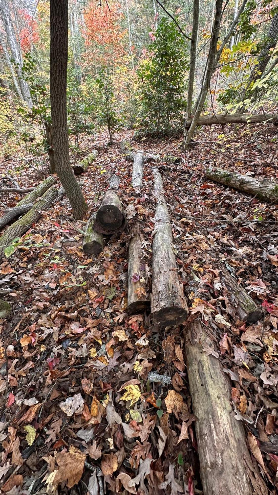 Appalachian Mountain Cabin-Updated-Private-Rafting On Ocoee River-Hiking-Waterfalls-Wifi-Pets Ok Murphy Bagian luar foto