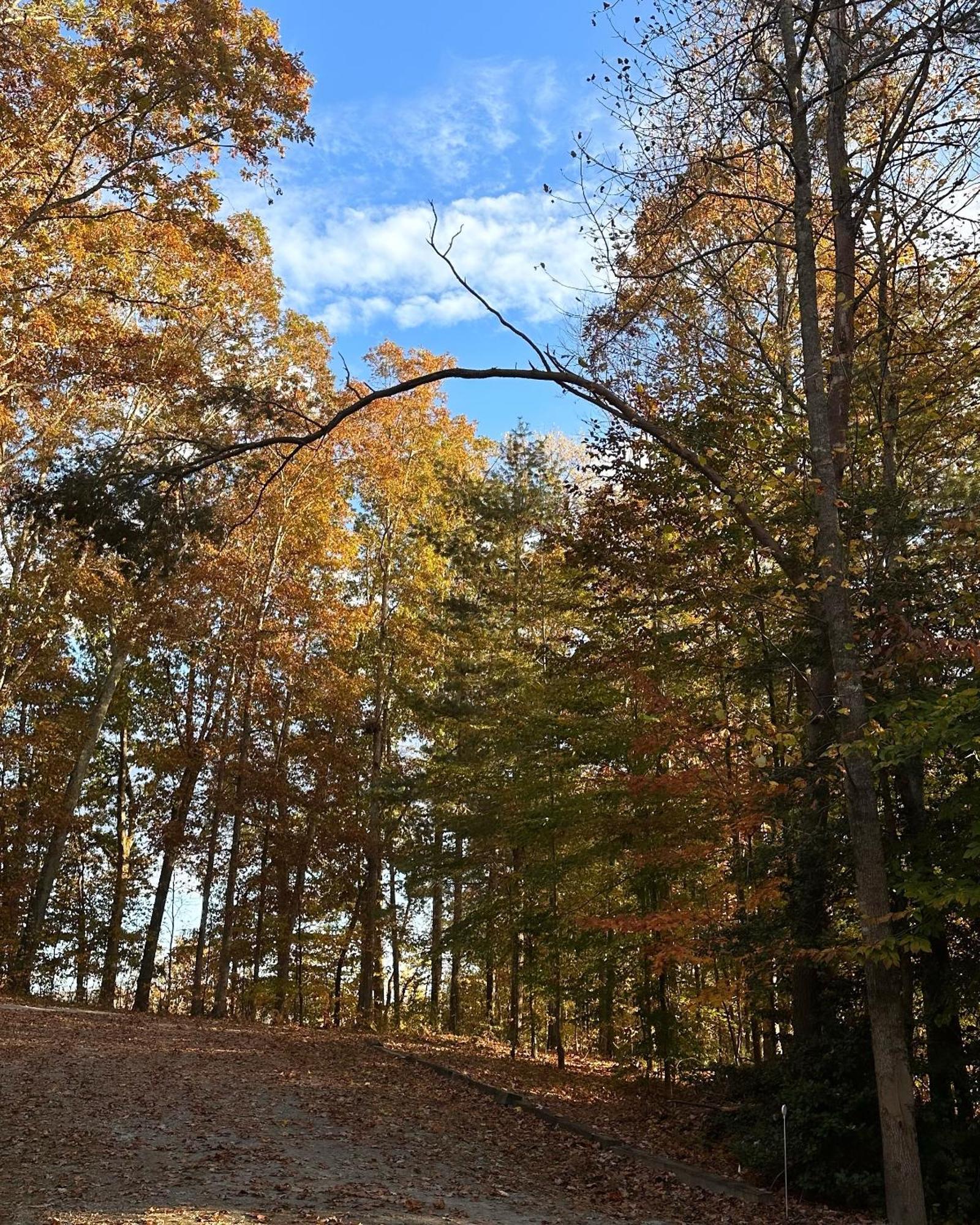 Appalachian Mountain Cabin-Updated-Private-Rafting On Ocoee River-Hiking-Waterfalls-Wifi-Pets Ok Murphy Bagian luar foto