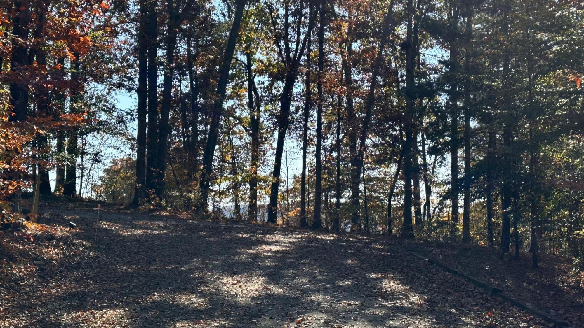 Appalachian Mountain Cabin-Updated-Private-Rafting On Ocoee River-Hiking-Waterfalls-Wifi-Pets Ok Murphy Bagian luar foto