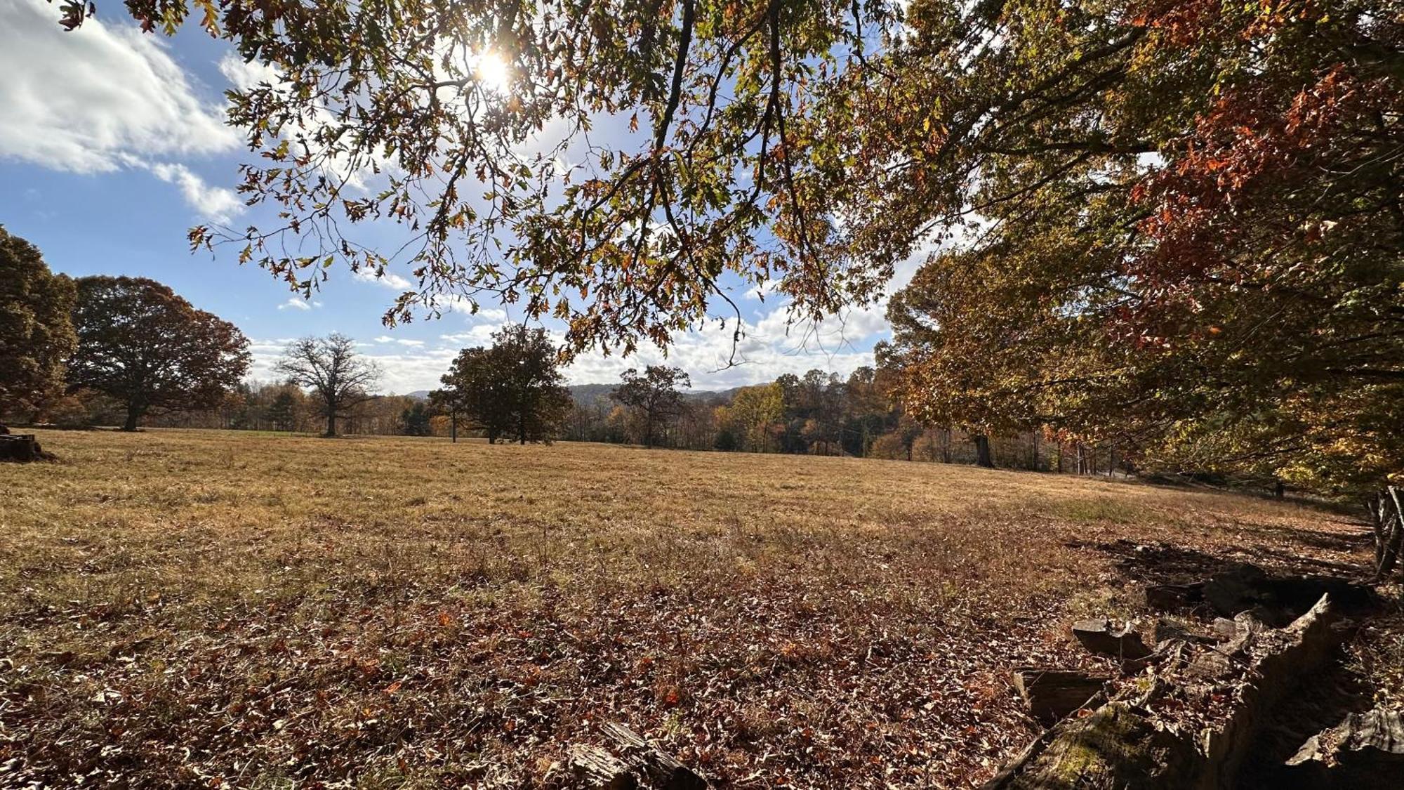 Appalachian Mountain Cabin-Updated-Private-Rafting On Ocoee River-Hiking-Waterfalls-Wifi-Pets Ok Murphy Bagian luar foto